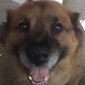 Meet your Posher, Joel